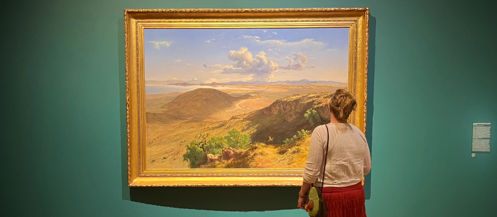 A visitor views José María Velasco's Valley of Mexico from the Hill of Santa Isabel at the Minneapolis Institute of Art