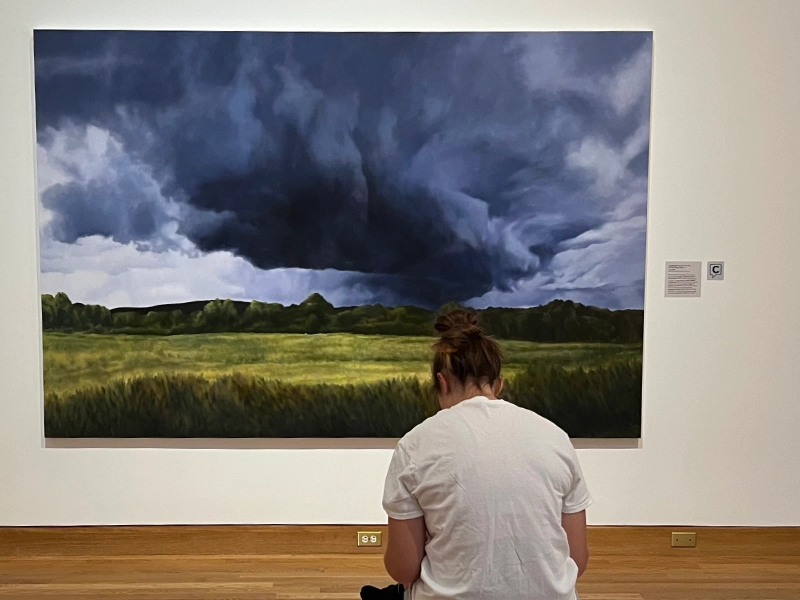 A visitor views a storm landscape painting marked with a Capption indicator